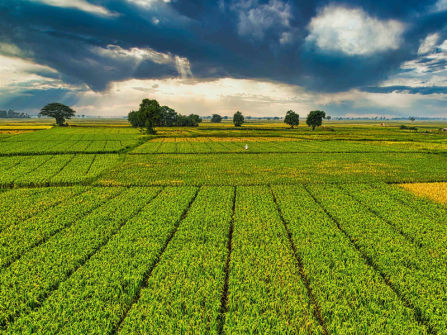 Global Leader in Broadacre Farming Machinery - 80% Sale 5898