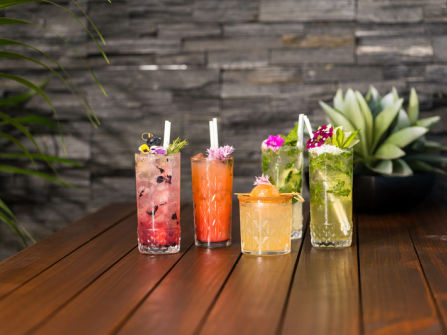 Premium Coastal Bar & Grill - Northern NSW