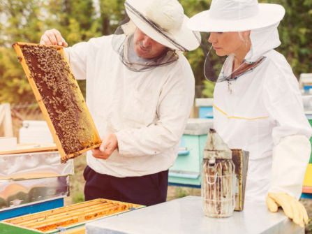 Agriculture & horticulture biosecurity RTO. Long rego. High compliance. (REF: 1547A)