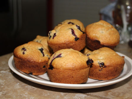 Great Value Lunch Bar for Sale