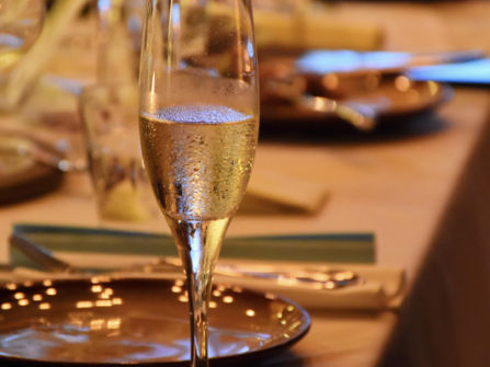 Waterfront Dining on the Yarra Business for Sale SV1579