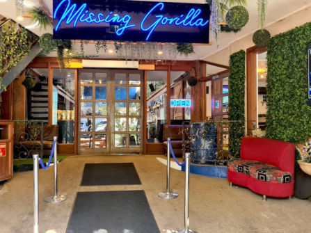 UNDER OFFER - Missing Gorilla