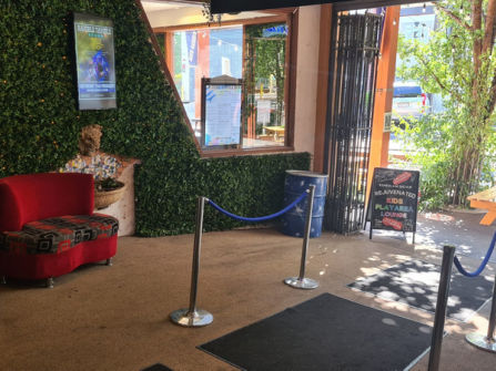 UNDER OFFER - Missing Gorilla