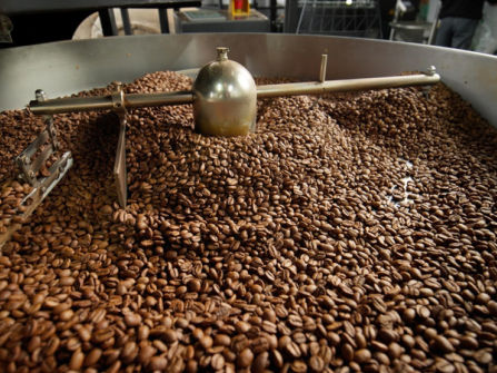Sunshine Coast Specialty Coffee Roastery