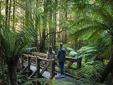 Boutique Accommodation Retreat + Freehold - Dandenong Ranges
