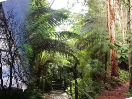 Boutique Accommodation Retreat + Freehold - Dandenong Ranges