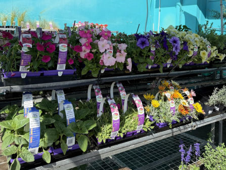 Turnkey Rural Hardware & Garden Centre  Prime Highway Position, Nhill VIC