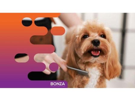 36635 Profitable Mobile Dog Grooming Business - Open To Offers