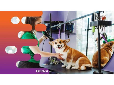 36635 Profitable Mobile Dog Grooming Business - Open To Offers
