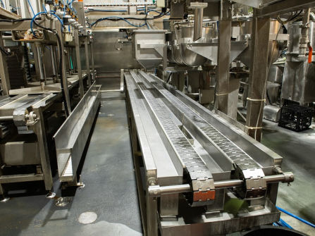 Established Asian Food Manufacturer - Strong Growth Potential