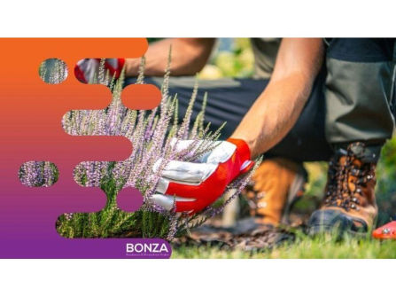 36659 Established & Profitable Gardening Maintenance Business