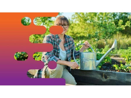 36659 Established & Profitable Gardening Maintenance Business