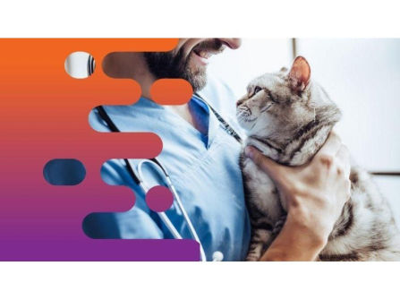 36686 Profitable Mobile Veterinary Business - Low Overheads