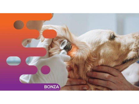36686 Profitable Mobile Veterinary Business - Low Overheads