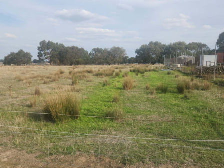 Rural Business & Lifestyle  -  Freehold Available