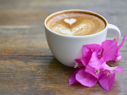 Cafe For Sale