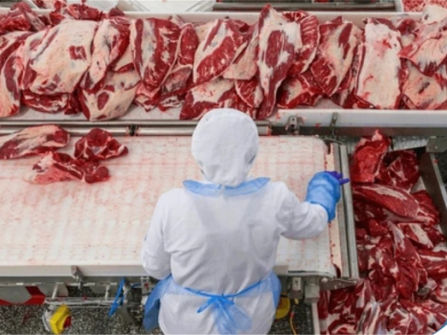 NSW Meat Wholesalers 36 years Established $ 12 mil T/0 Per Year High Profits