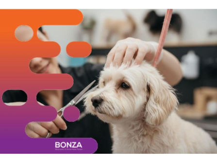 36775 Busy Dog Grooming Salon With Loyal Clientele