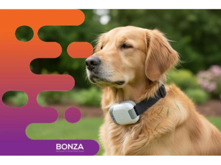 36789 Leading Pet Solutions Business with Proven Systems