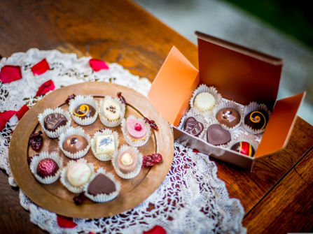 Chocolate Shop Cafe & Online Gifting Business SV1601