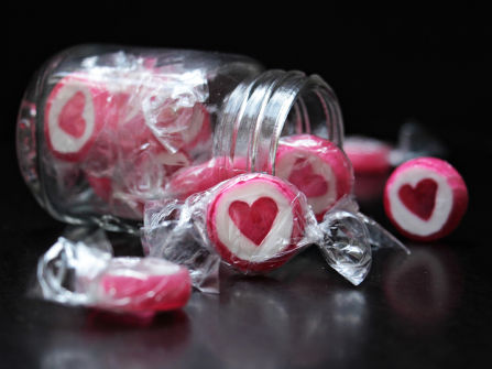 Chocolate Shop Cafe & Online Gifting Business SV1601