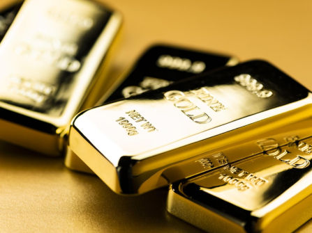 Digging Business with Freehold. Gold Profit = $2,000,000