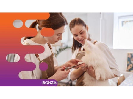 36834 - Dog Grooming, Daycare and Retail Space