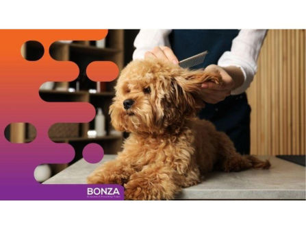 36834 - Dog Grooming, Daycare and Retail Space