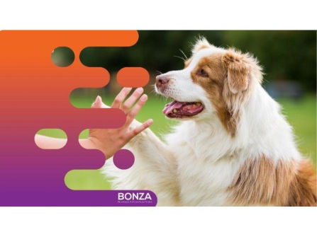 36875 Longstanding & Highly Reputable Dog Training Business - Proven Operation