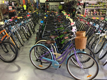 Sea Change Business Opportunity-Cycle your way to Hervey Bay
