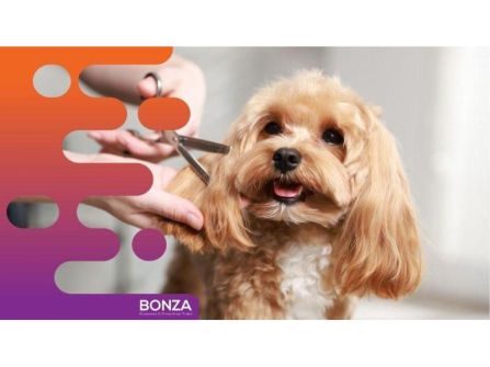 37007 Mobile Pet Grooming Business Ready to Grow