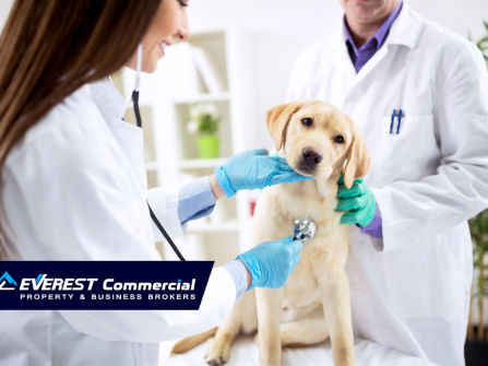 Exceptional  Veterinary Business for Sale  South East Of Victoria