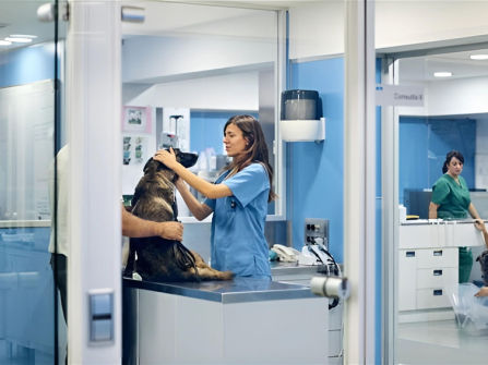 Exceptional  Veterinary Business for Sale  South East Of Victoria