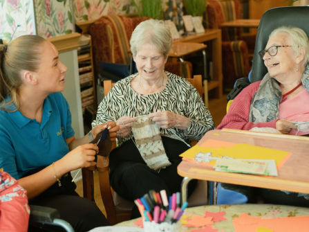 Registered Aged Care and NDIS Provider (Franchise), Two Established NSW Territories, Offered by EOI
