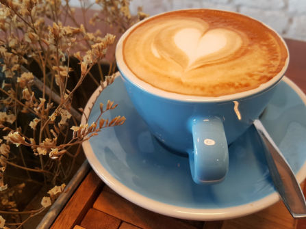 Thriving and Consistent Cafe in Fantastic N.O.R Location