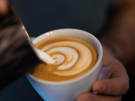 Thriving and Consistent Cafe in Fantastic N.O.R Location