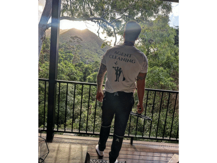 AGENT CLEANING FOR SALE