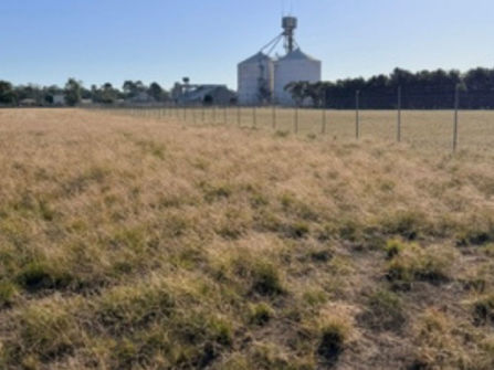 Prime Highway Frontage Development Opportunity – Warracknabeal
