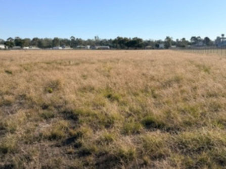 Prime Highway Frontage Development Opportunity – Warracknabeal