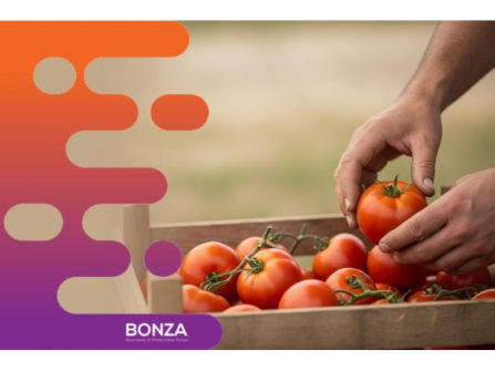 37104 Wholesale Produce Distribution Business - Strong Grower Relationships
