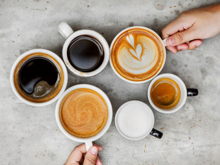 Well-Presented Cafe & Coffee Opportunity in a Prime Location