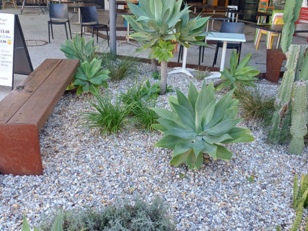 Beautifully Presented Cafe / Coffee - Fremantle