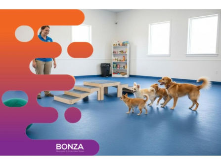 37114 Profitable Dog Daycare Business, Flexible Hours