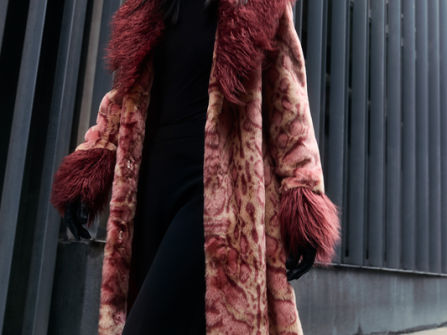 Premium Ladies Styling Boutique Business for Sale SV1614