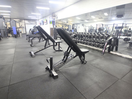 Established 24/7 Gym Business - Como