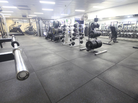 Established 24/7 Gym Business - Como