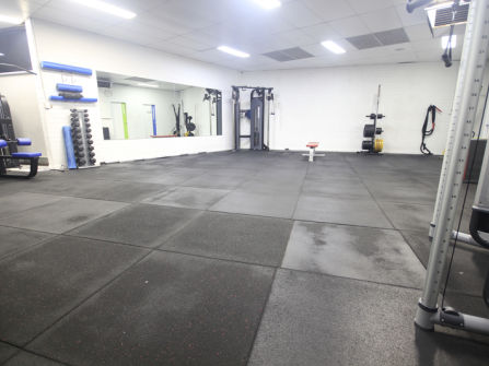Established 24/7 Gym Business - Como