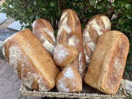 Well-Established Family-Owned Bakery - SOR
