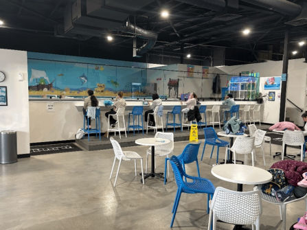 JUMP! Swim Schools – Established & Growing Franchise (Our Ref: V2113)