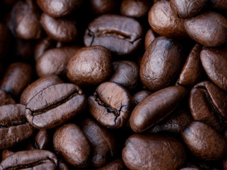 CAFE OPPORTUNITY IN A FANTASTIC LOCATION!